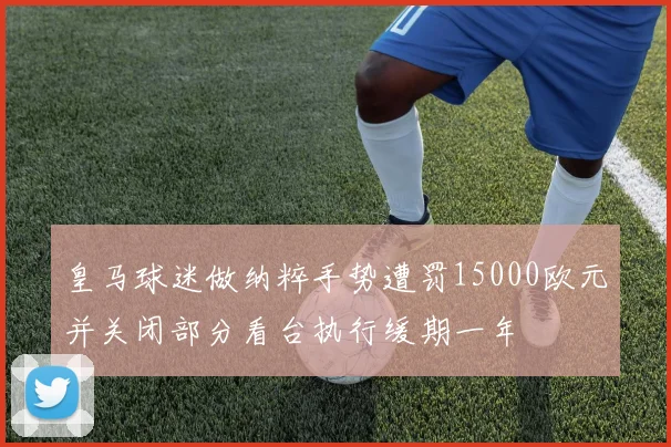 皇马球迷做纳粹手势遭罚15000欧元并关闭部分看台执行缓期一年
